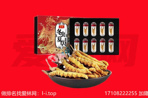 双鸭山饶河县回收虫草.jpg
